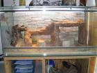 Vollglasterrarium B100xT50xH50 mit allem Zubehör