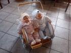 Puppenwagen mit Zwillingspuppen