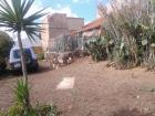 Individuelle Leute fuer Urlaub auf Tenerife
