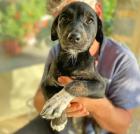 Uschi sucht ein passendes Zuhause