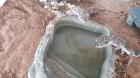 3 Leopardgeckos abzugeben