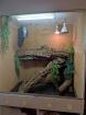 Großes Terrarium Holz mit Glasschiebetüren abschließbar 200x100x140 cm